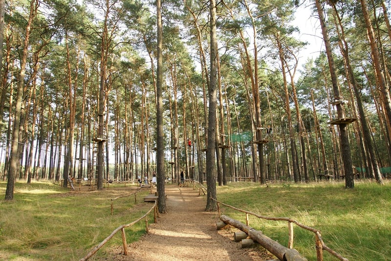 Ropes Course